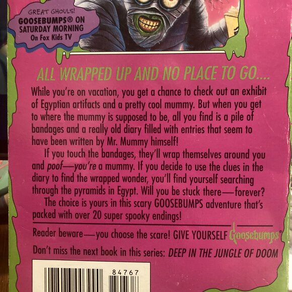 Vintage Book-Goosebumps #10 Diary of a Mad Mummy-1996 RL Stine Choose the Scare - Picture 4 of 4